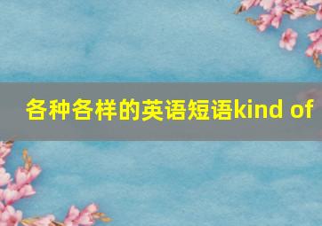 各种各样的英语短语kind of